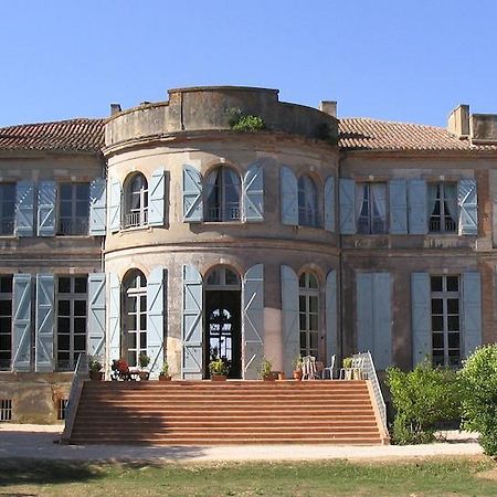 Chateau De Clermont-Saves Bed & Breakfast LʼIsle-Jourdain Exterior foto