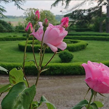 Chateau De Clermont-Saves Bed & Breakfast LʼIsle-Jourdain Exterior foto