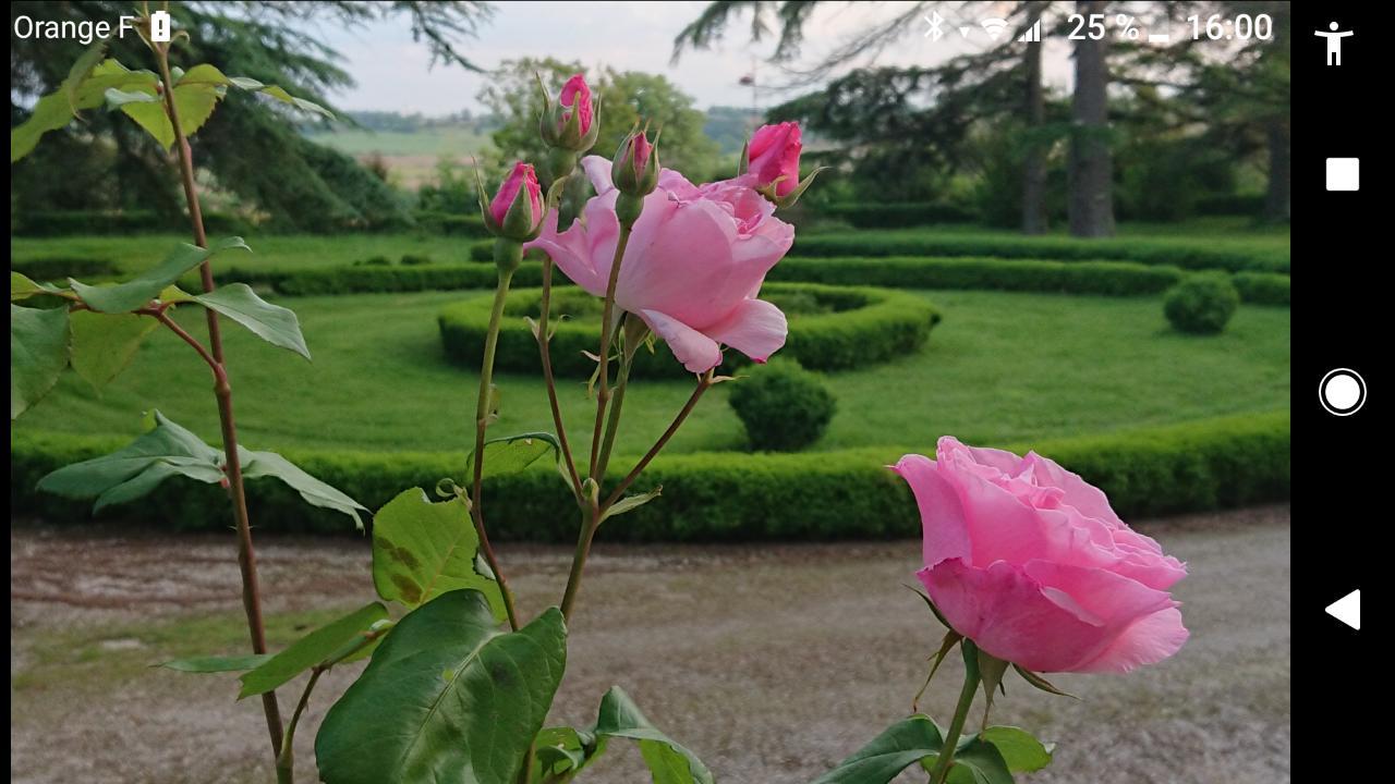 Chateau De Clermont-Saves Bed & Breakfast LʼIsle-Jourdain Exterior foto